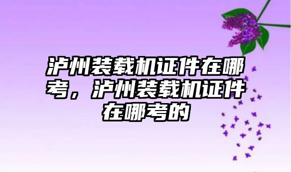 瀘州裝載機證件在哪考，瀘州裝載機證件在哪考的