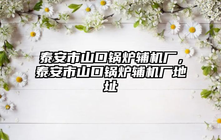 泰安市山口鍋爐輔機廠，泰安市山口鍋爐輔機廠地址