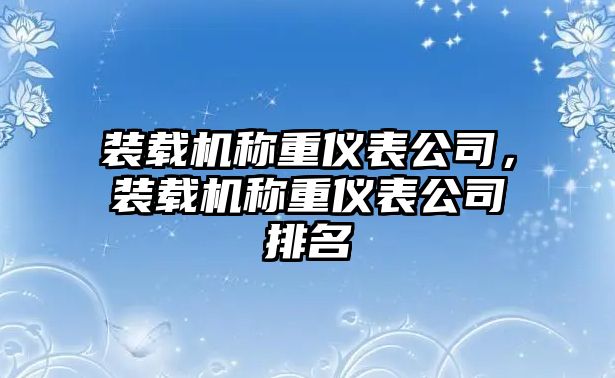 裝載機(jī)稱重儀表公司，裝載機(jī)稱重儀表公司排名