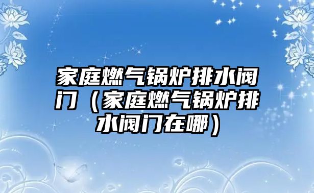 家庭燃?xì)忮仩t排水閥門（家庭燃?xì)忮仩t排水閥門在哪）