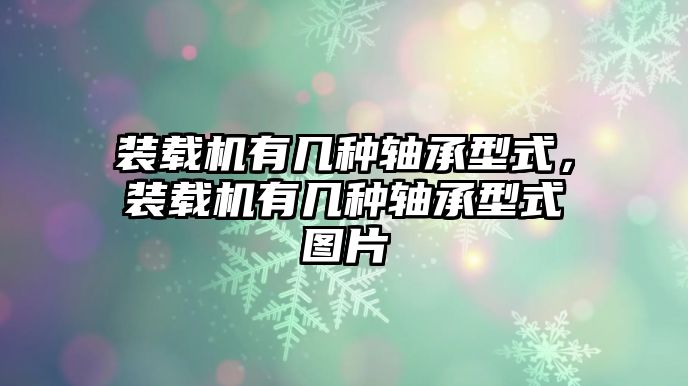 裝載機有幾種軸承型式，裝載機有幾種軸承型式圖片