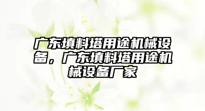 廣東填料塔用途機(jī)械設(shè)備，廣東填料塔用途機(jī)械設(shè)備廠家