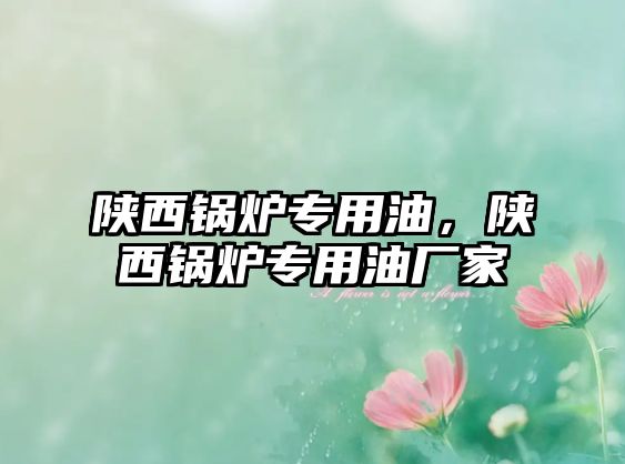 陜西鍋爐專用油，陜西鍋爐專用油廠家