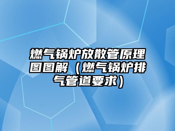 燃氣鍋爐放散管原理圖圖解（燃氣鍋爐排氣管道要求）