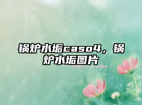 鍋爐水垢caso4，鍋爐水垢圖片