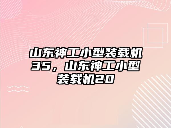 山東神工小型裝載機(jī)35，山東神工小型裝載機(jī)20