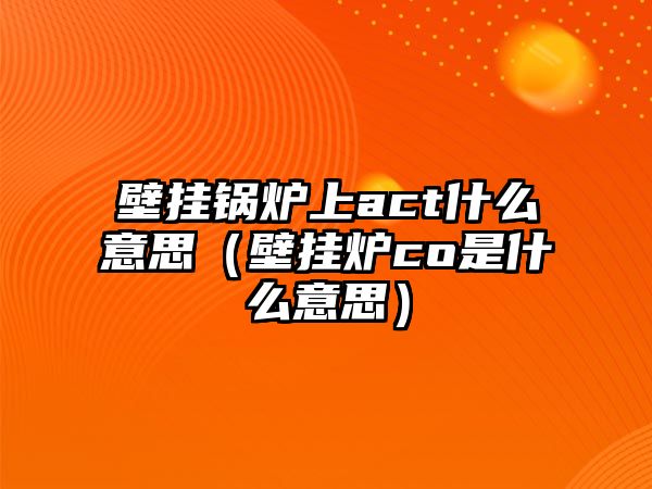 壁掛鍋爐上act什么意思（壁掛爐co是什么意思）