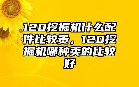 120挖掘機(jī)什么配件比較貴，120挖掘機(jī)哪種賣(mài)的比較好