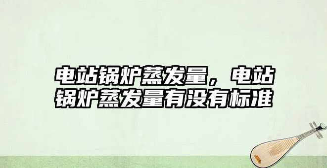 電站鍋爐蒸發(fā)量，電站鍋爐蒸發(fā)量有沒有標(biāo)準(zhǔn)