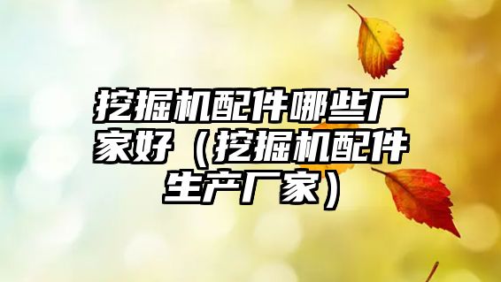 挖掘機配件哪些廠家好（挖掘機配件生產(chǎn)廠家）