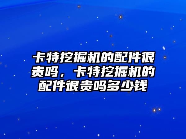 卡特挖掘機的配件很貴嗎，卡特挖掘機的配件很貴嗎多少錢