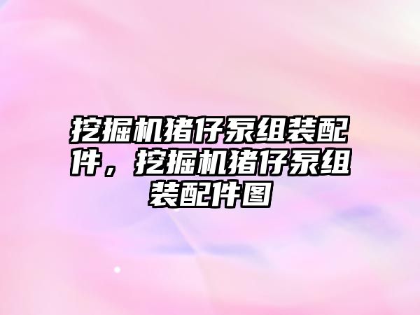 挖掘機豬仔泵組裝配件，挖掘機豬仔泵組裝配件圖