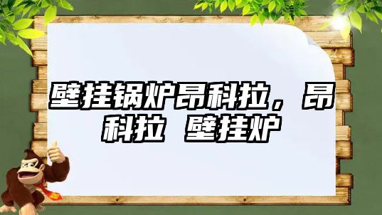 壁掛鍋爐昂科拉，昂科拉 壁掛爐