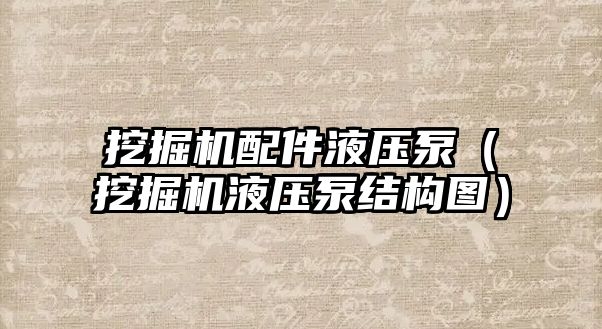 挖掘機配件液壓泵（挖掘機液壓泵結(jié)構(gòu)圖）