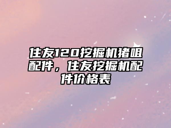 住友120挖掘機(jī)豬咀配件，住友挖掘機(jī)配件價格表