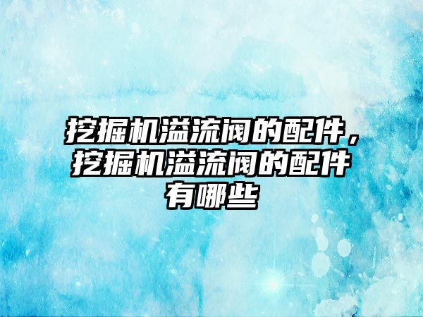 挖掘機溢流閥的配件，挖掘機溢流閥的配件有哪些