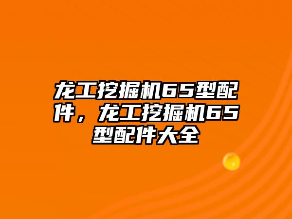 龍工挖掘機65型配件，龍工挖掘機65型配件大全