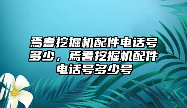 焉耆挖掘機配件電話號多少，焉耆挖掘機配件電話號多少號