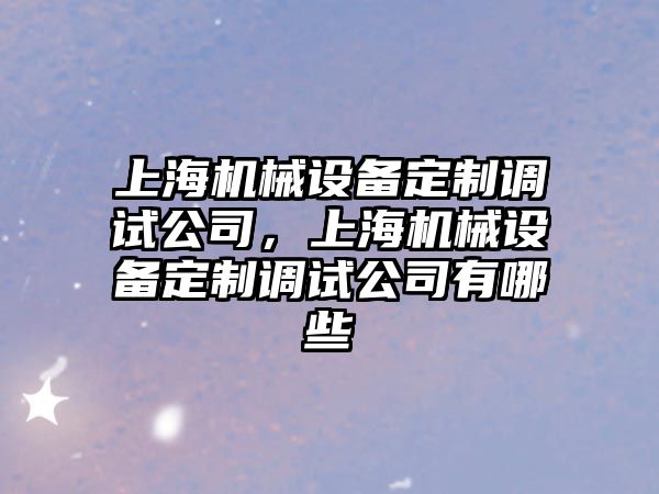 上海機械設備定制調試公司，上海機械設備定制調試公司有哪些