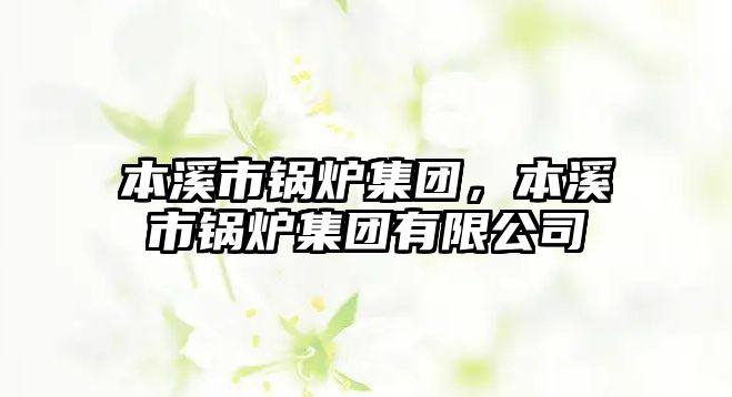 本溪市鍋爐集團(tuán)，本溪市鍋爐集團(tuán)有限公司