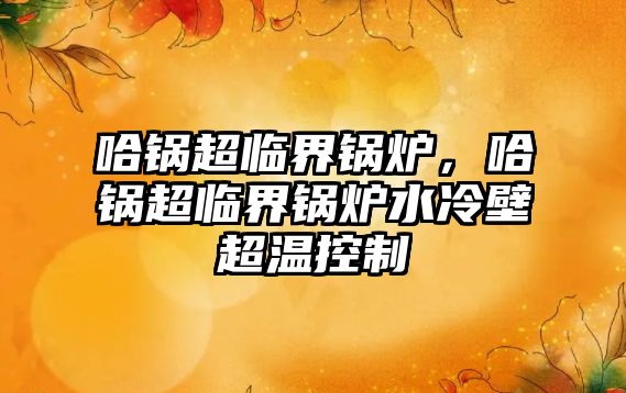 哈鍋超臨界鍋爐，哈鍋超臨界鍋爐水冷壁超溫控制