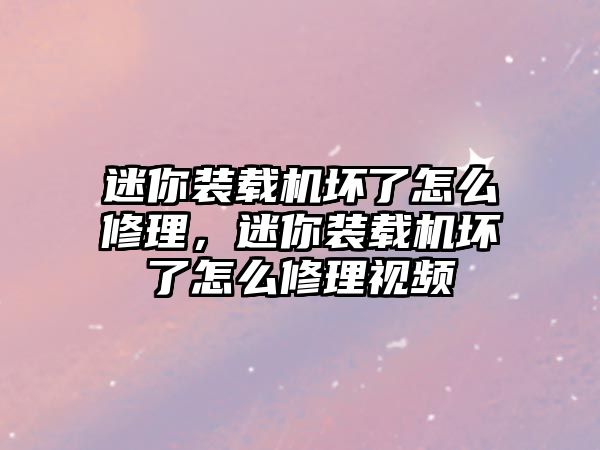 迷你裝載機(jī)壞了怎么修理，迷你裝載機(jī)壞了怎么修理視頻