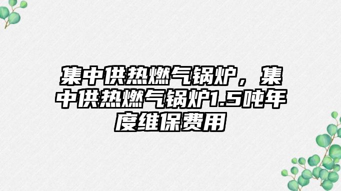 集中供熱燃?xì)忮仩t，集中供熱燃?xì)忮仩t1.5噸年度維保費(fèi)用