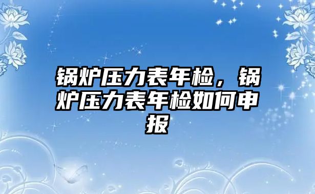 鍋爐壓力表年檢，鍋爐壓力表年檢如何申報