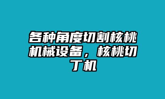 各種角度切割核桃機(jī)械設(shè)備，核桃切丁機(jī)