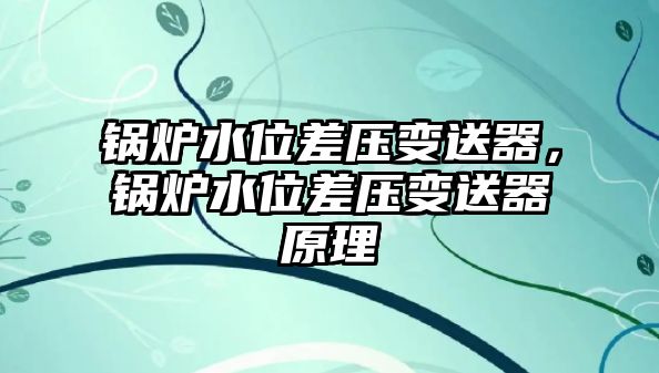 鍋爐水位差壓變送器，鍋爐水位差壓變送器原理