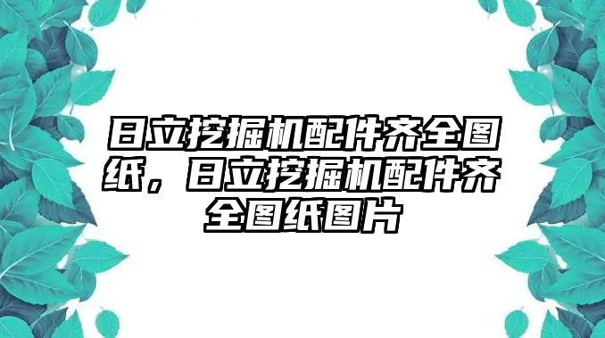 日立挖掘機(jī)配件齊全圖紙，日立挖掘機(jī)配件齊全圖紙圖片