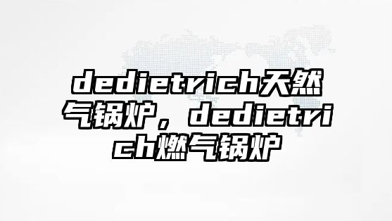 dedietrich天然氣鍋爐，dedietrich燃?xì)忮仩t