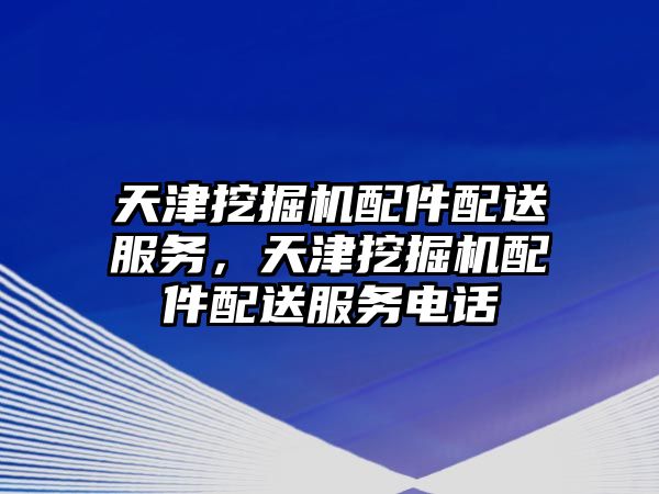 天津挖掘機配件配送服務，天津挖掘機配件配送服務電話