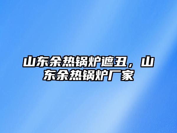 山東余熱鍋爐遮丑，山東余熱鍋爐廠家