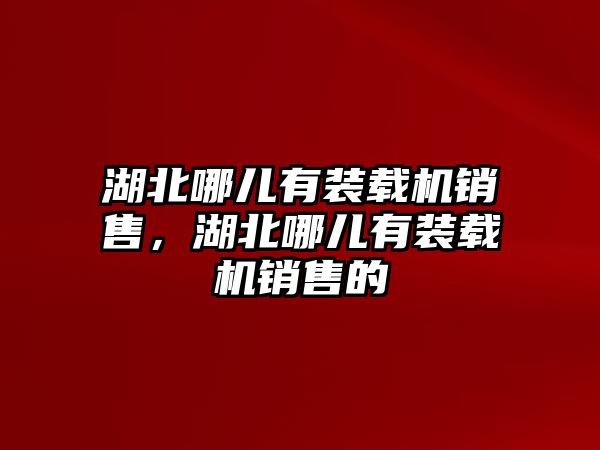 湖北哪兒有裝載機(jī)銷售，湖北哪兒有裝載機(jī)銷售的