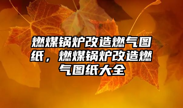 燃煤鍋爐改造燃?xì)鈭D紙，燃煤鍋爐改造燃?xì)鈭D紙大全