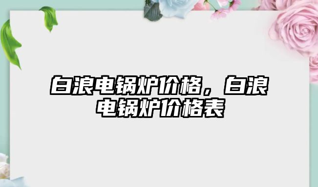 白浪電鍋爐價格，白浪電鍋爐價格表