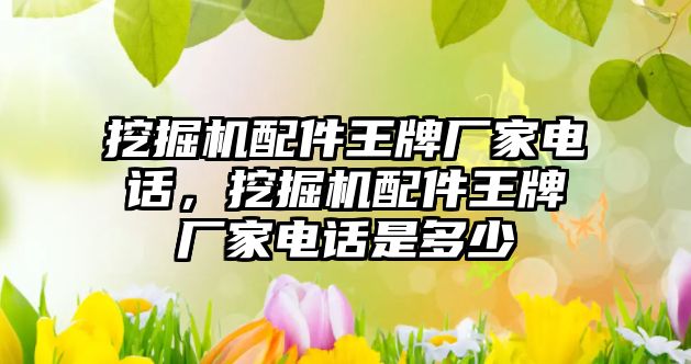 挖掘機配件王牌廠家電話，挖掘機配件王牌廠家電話是多少