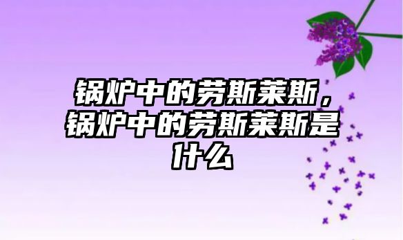 鍋爐中的勞斯萊斯，鍋爐中的勞斯萊斯是什么