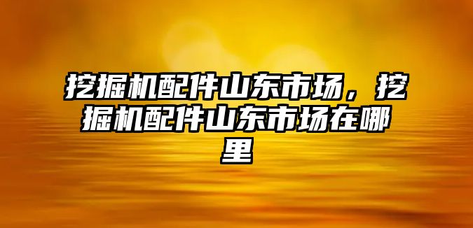 挖掘機配件山東市場，挖掘機配件山東市場在哪里