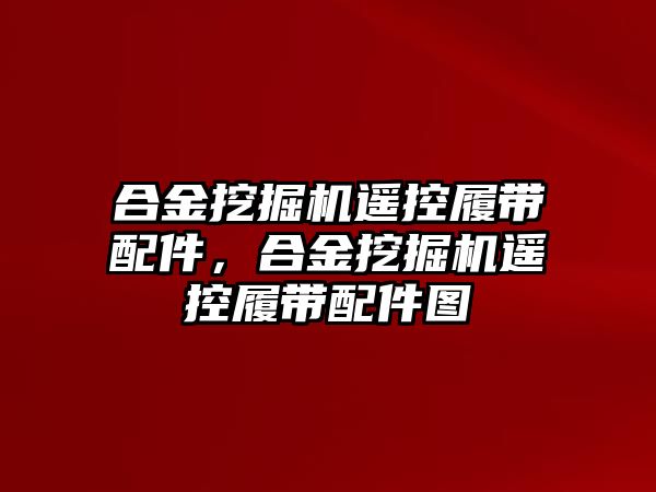 合金挖掘機遙控履帶配件，合金挖掘機遙控履帶配件圖