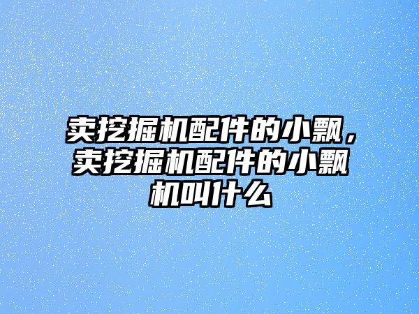 賣挖掘機配件的小飄，賣挖掘機配件的小飄機叫什么