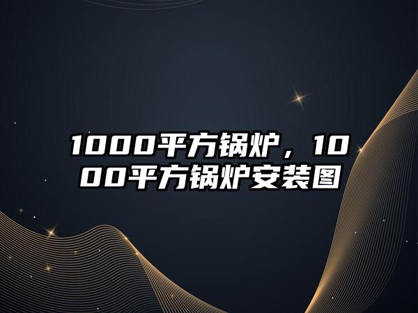 1000平方鍋爐，1000平方鍋爐安裝圖