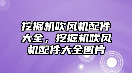 挖掘機吹風(fēng)機配件大全，挖掘機吹風(fēng)機配件大全圖片