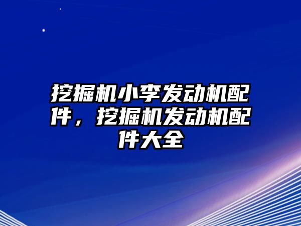 挖掘機小李發(fā)動機配件，挖掘機發(fā)動機配件大全