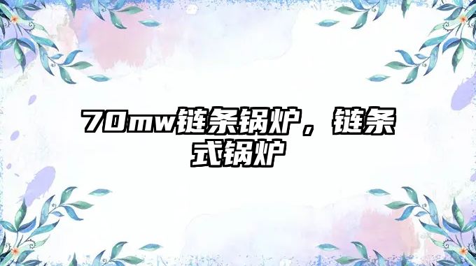 70mw鏈條鍋爐，鏈條式鍋爐