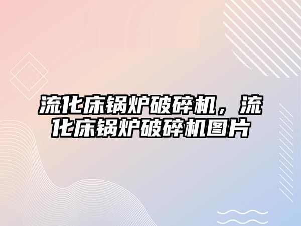 流化床鍋爐破碎機，流化床鍋爐破碎機圖片