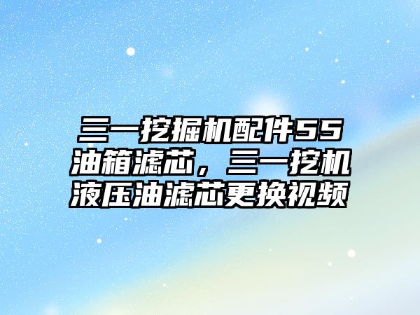 三一挖掘機(jī)配件55油箱濾芯，三一挖機(jī)液壓油濾芯更換視頻