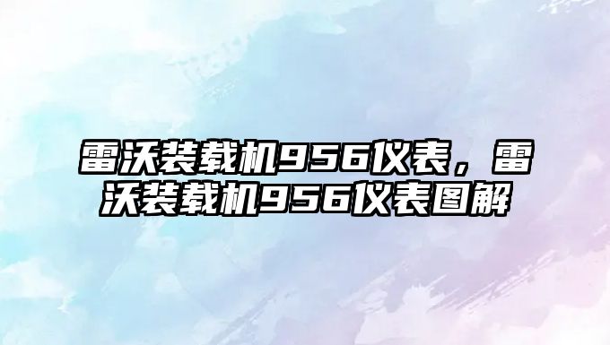 雷沃裝載機956儀表，雷沃裝載機956儀表圖解