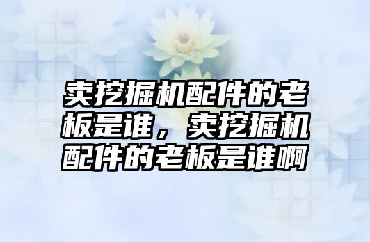 賣挖掘機配件的老板是誰，賣挖掘機配件的老板是誰啊